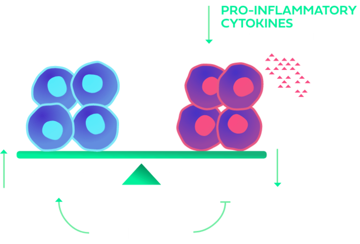 How does FRTX-02 work?